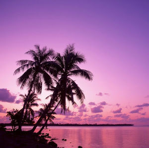 Meet your Posher, Mayra